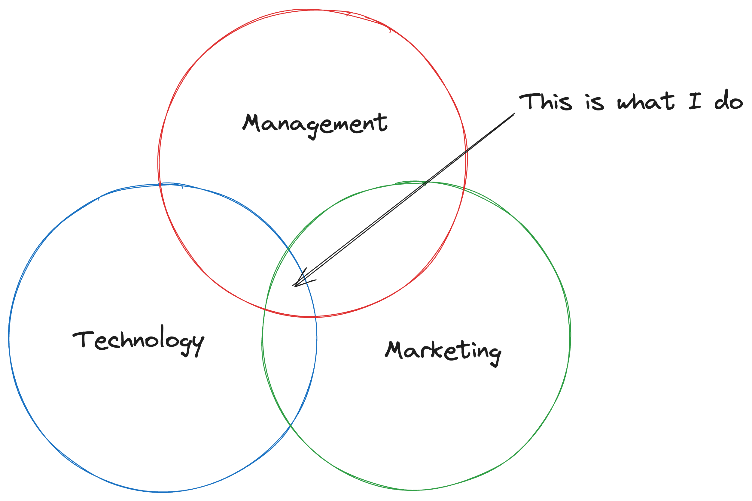 what angelo maiuri does for a living