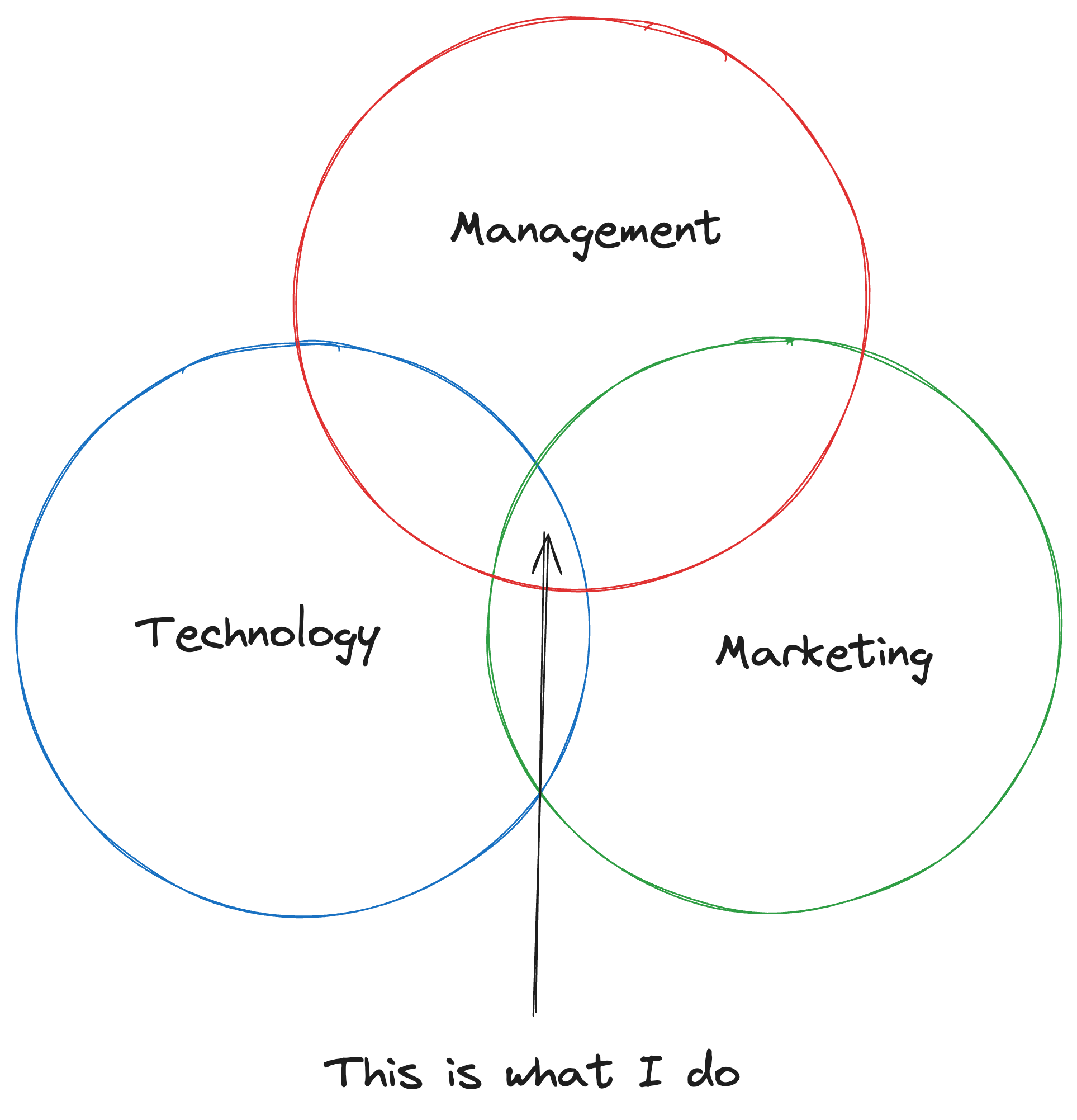 what angelo maiuri does for a living